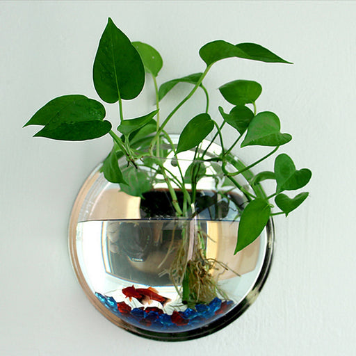 Pot Plant Wall MountedHome Decoration Accessories | Accessories to Elevate Your Space Hanging Decor | Bubble Bowl Flowers Fish Tank