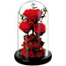 Day Gift Practical Immortal Flowers Dried Roses Glass Cover Gift Box Creative Ornaments Immortal Flowers Valentine's Day Gift Practical Immortal Flowers Dried Roses Glass Cover Gift Box Creative Ornaments Immortal Flowers