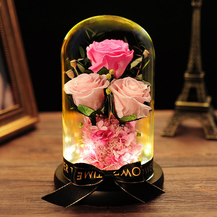 Day Gift Practical Immortal Flowers Dried Roses Glass Cover Gift Box Creative Ornaments Immortal Flowers Valentine's Day Gift Practical Immortal Flowers Dried Roses Glass Cover Gift Box Creative Ornaments Immortal Flowers